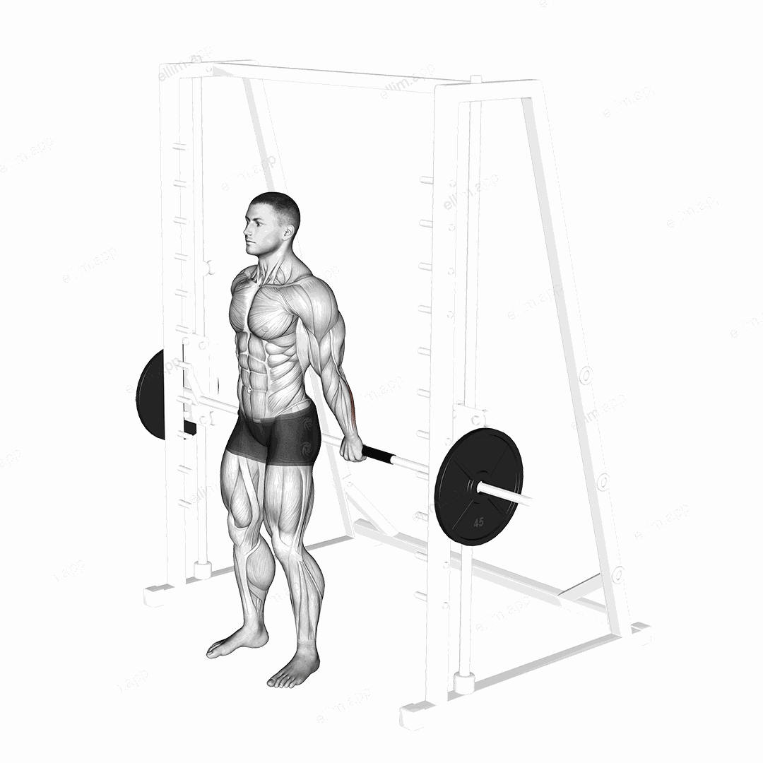 Smith Standing Back Wrist Curl exercise targeting Forearms and Wrist Flexors