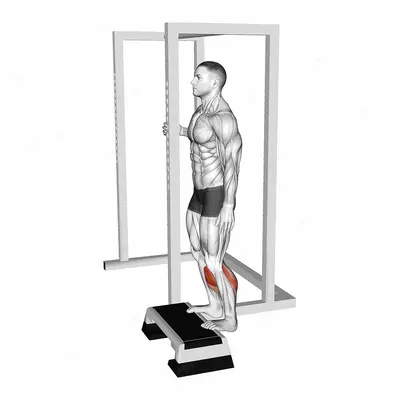 Elevated Standing Calf Raise exercise targeting Calves