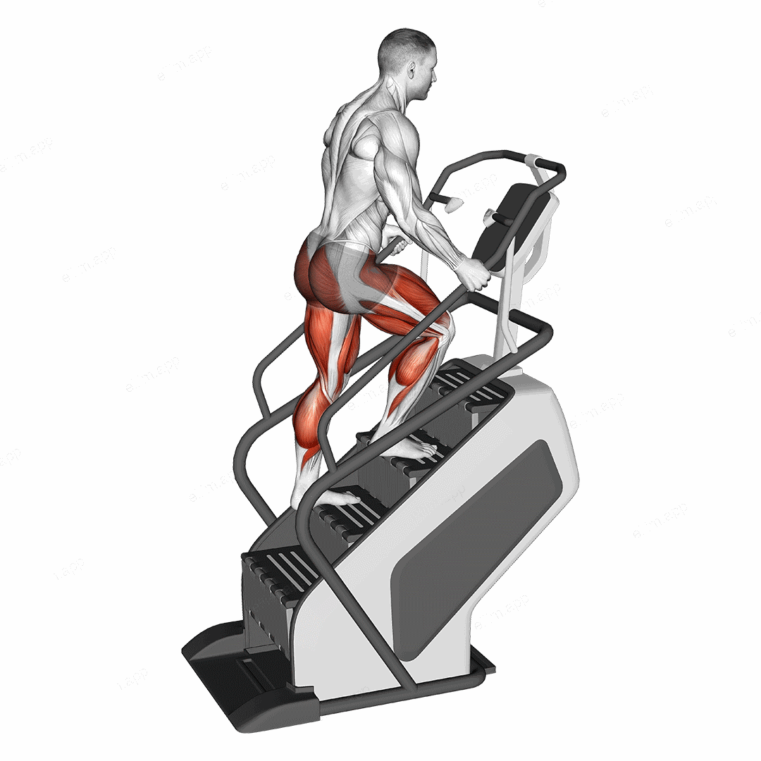 Walking on Stepmill exercise targeting Thighs and Adductor Magnus