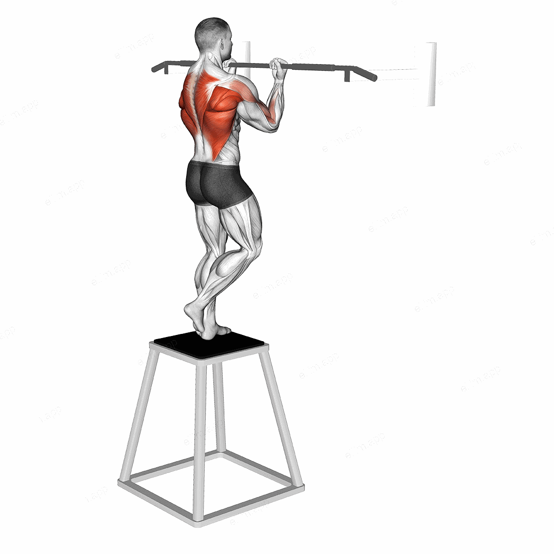 Chin up (izometric and negative) exercise targeting Back