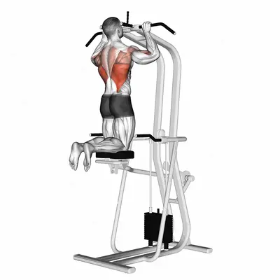 Assisted Pull up exercise targeting Back