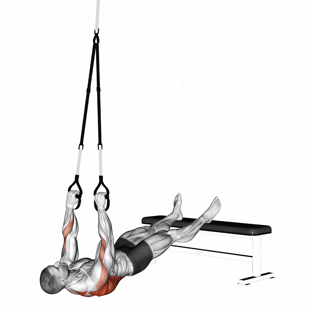 Suspender Wide Grip Inverted Row exercise targeting Back and Infraspinatus