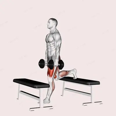 Dumbbell Step up Split Squat exercise targeting Thighs