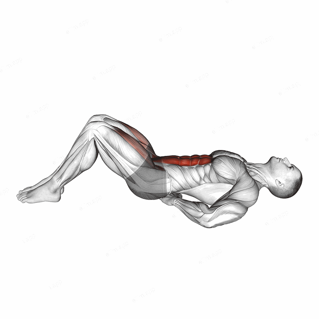 Lying Bent Legs Raise exercise targeting Waist
