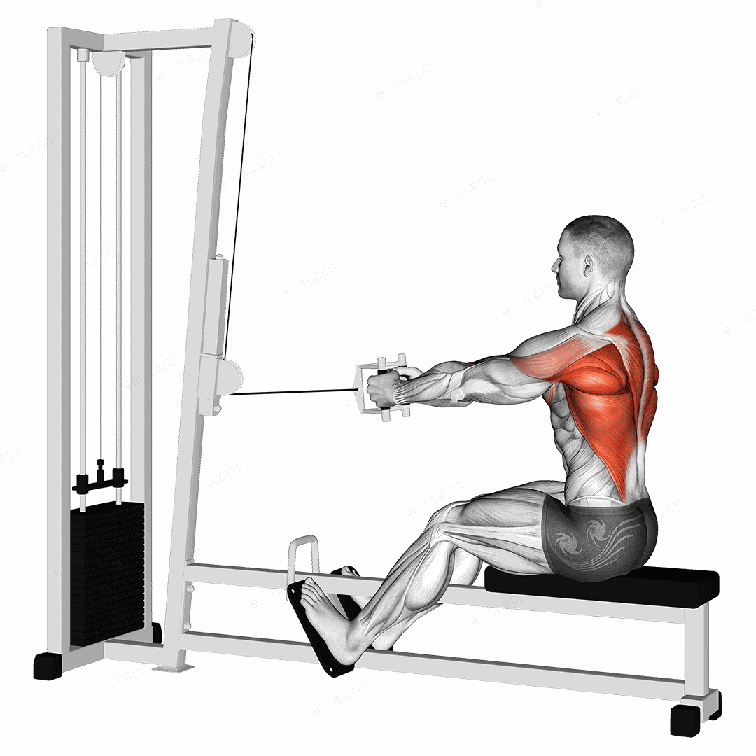 Cable Straight Back Seated Row exercise targeting Back and Infraspinatus