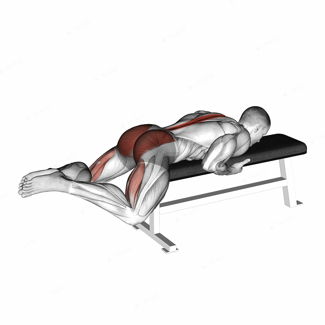 Frog Reverse Hyperextension (on a bench) exercise targeting Hips