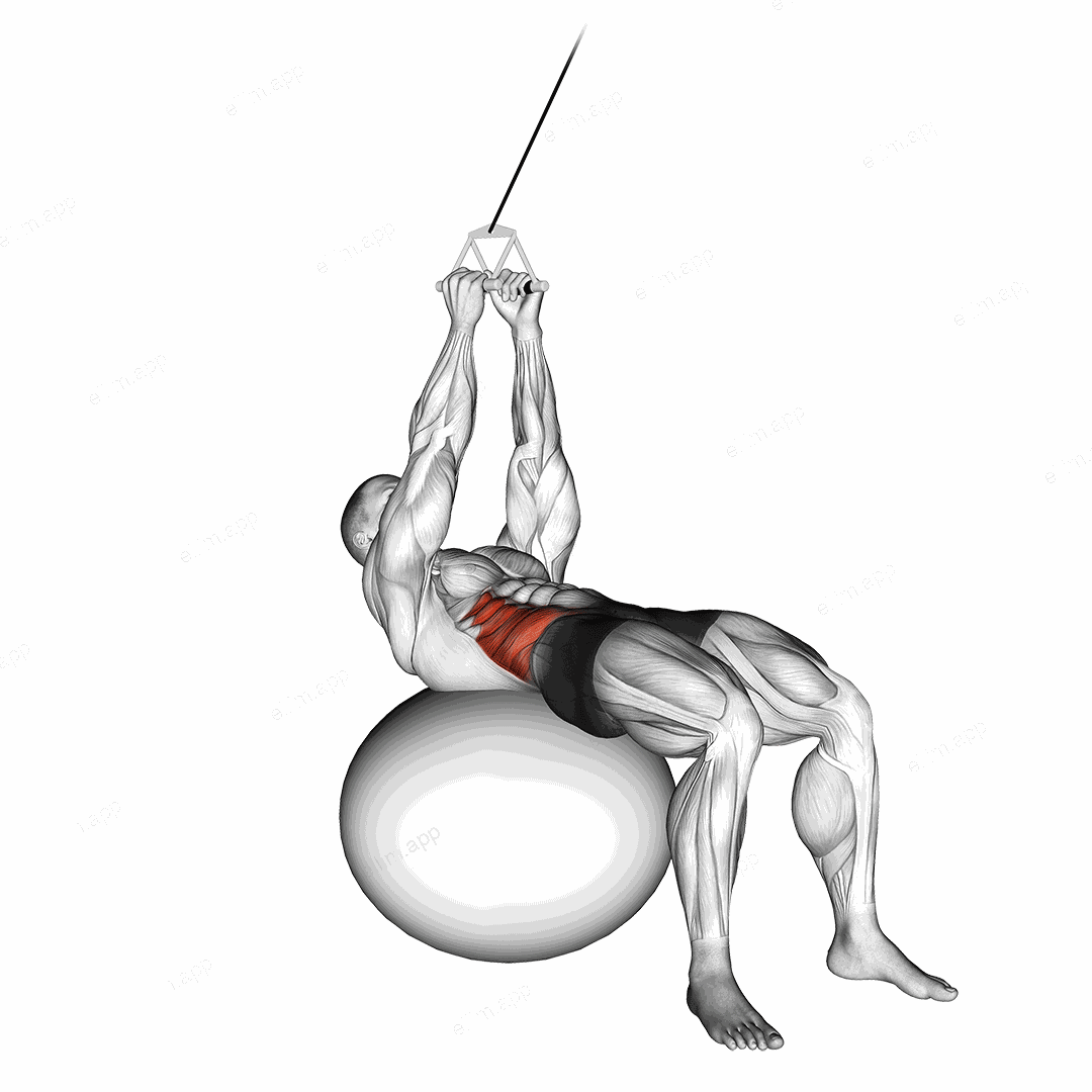 Cable Russian Twists (on stability ball) exercise targeting Waist and Obliques
