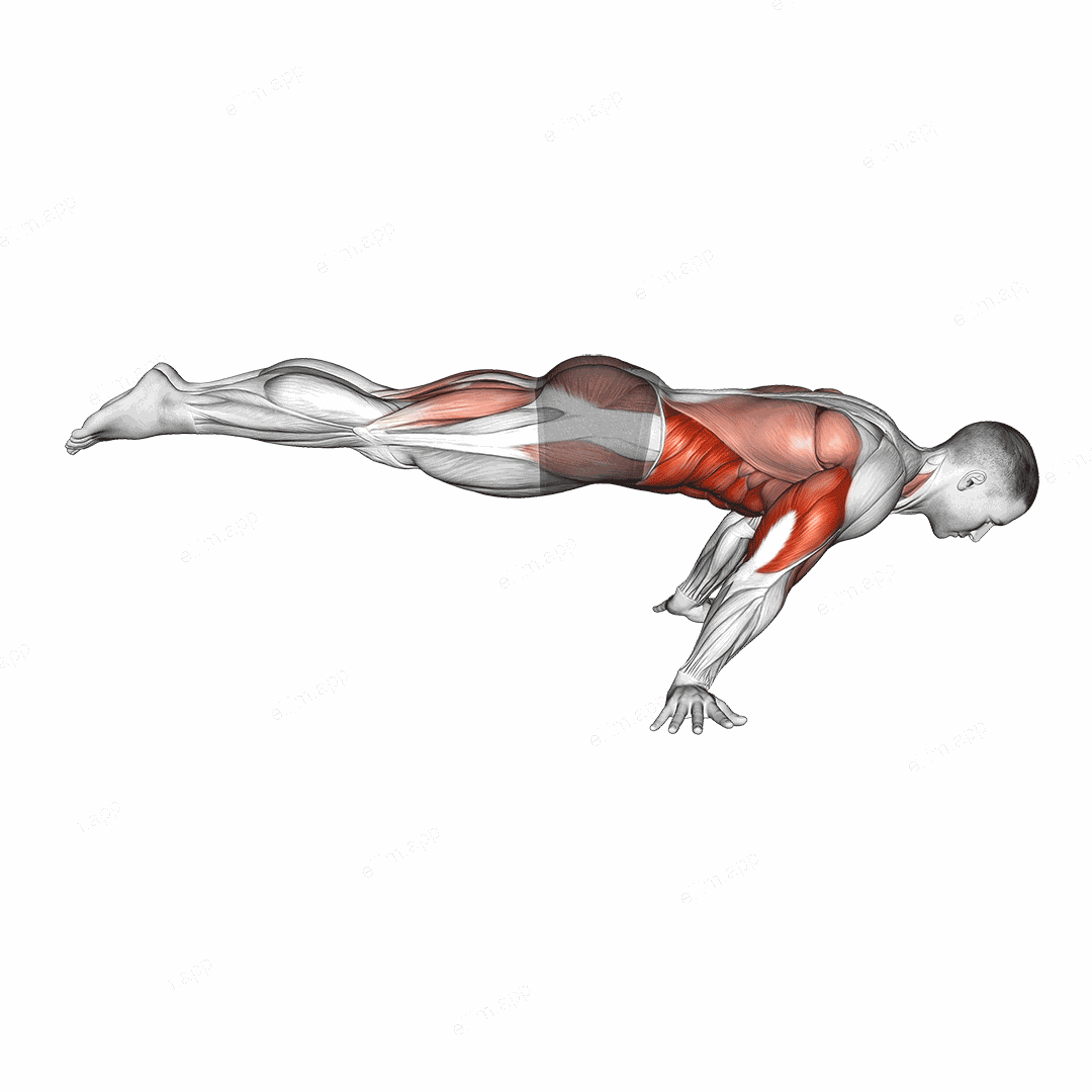Full Planche Push-Up exercise targeting Obliques and Pectoralis Major Clavicular Head