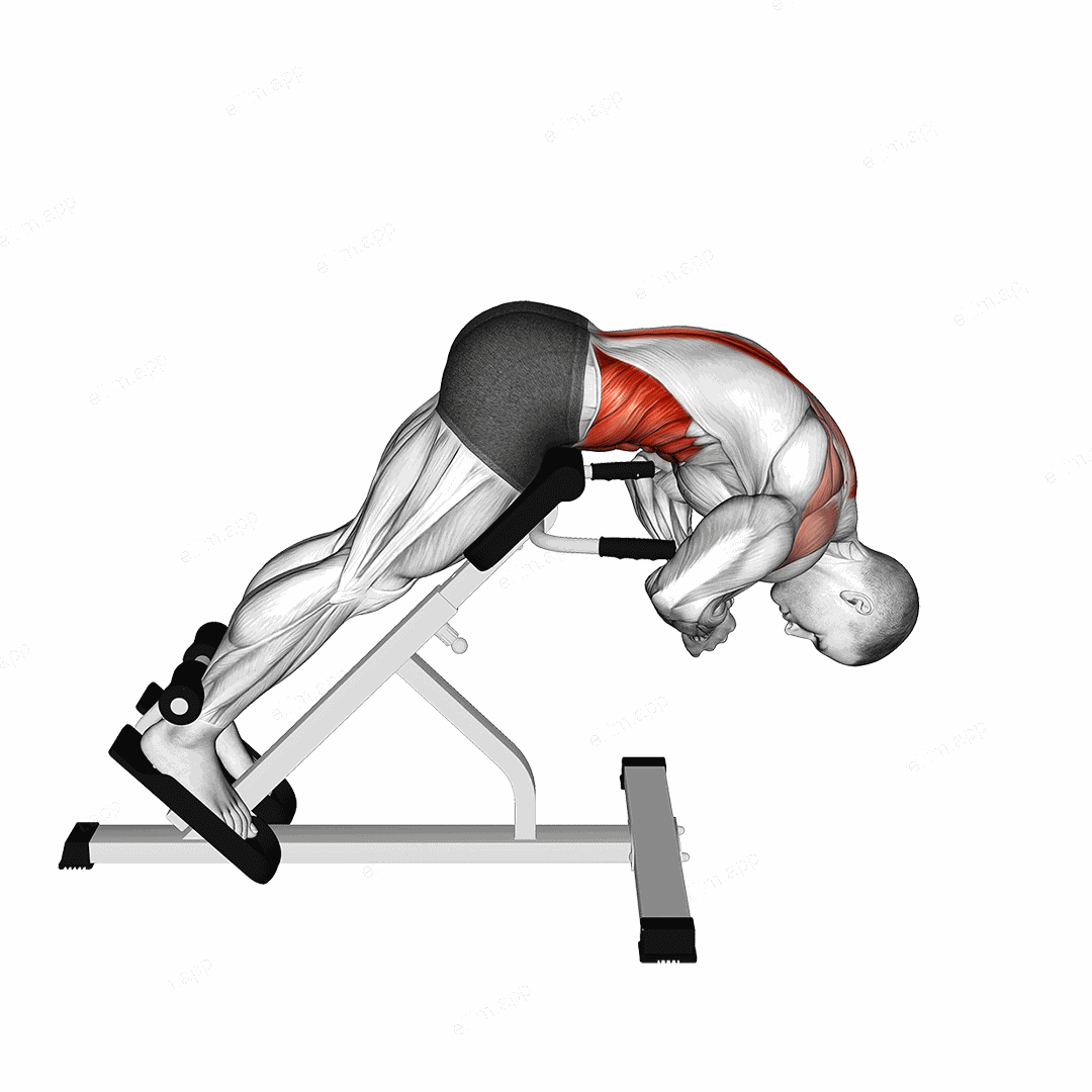 45 degrees Back Extension Scapular Adduction exercise targeting Back