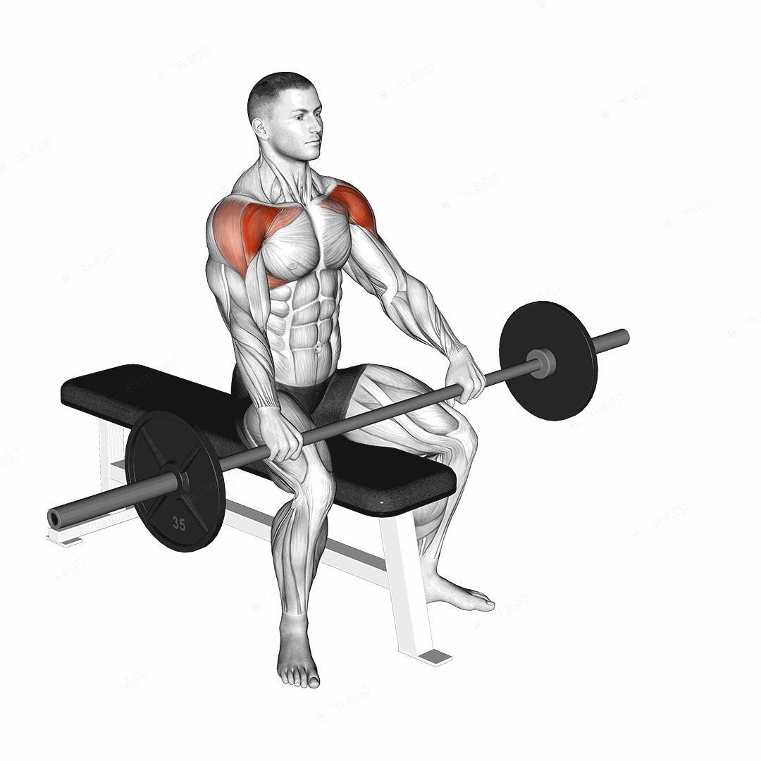 Barbell Seated Front Raise exercise targeting Shoulders and Deltoid Anterior