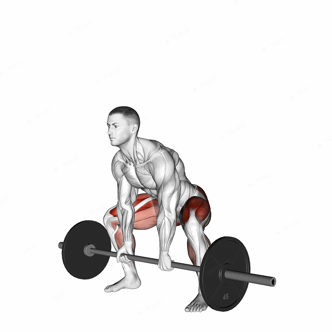 Barbell Sumo Deadlift exercise targeting Hips and Gluteus Maximus