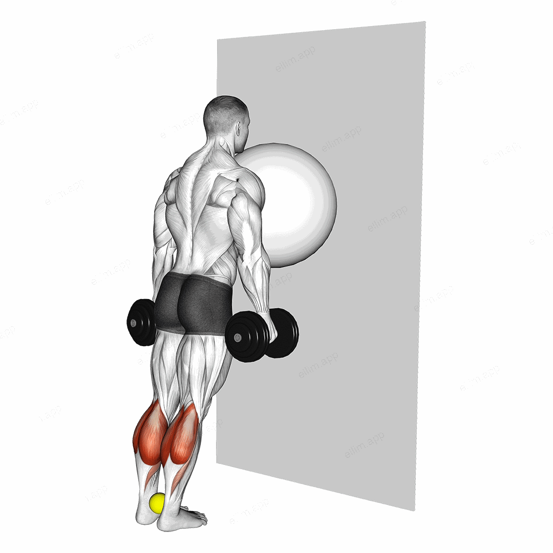 Exercise Ball on the Wall Calf Raise (tennis ball between ankles) exercise targeting Calves and Gastrocnemius