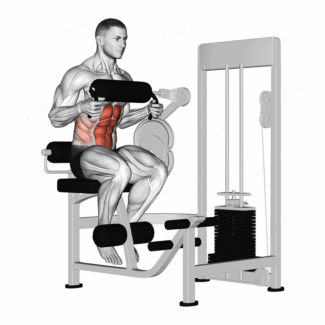 Lever Seated Crunch (chest pad) exercise targeting Waist and Rectus Abdominis