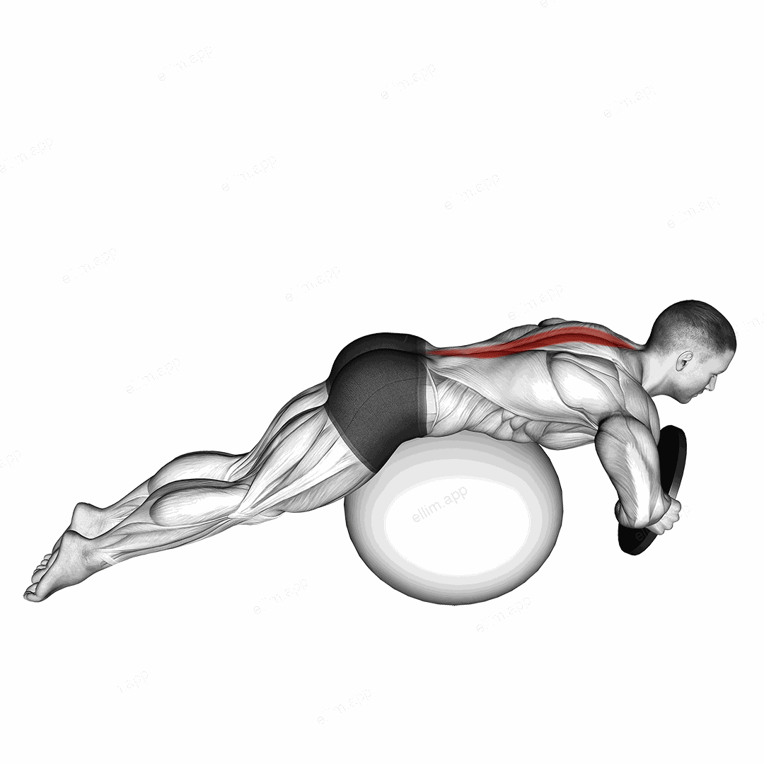 Weighted Hyperextension (on stability ball) exercise targeting Waist and Erector Spinae