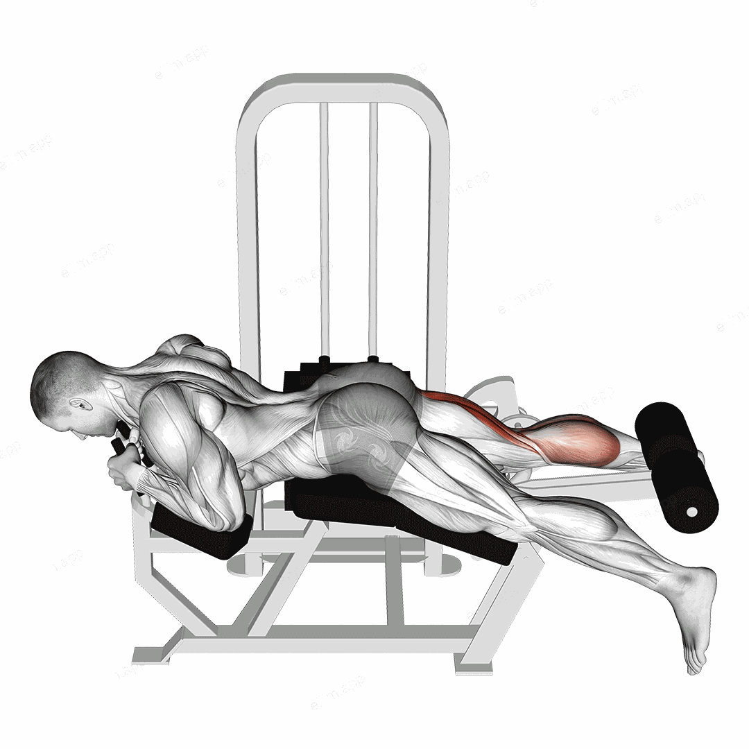 Lever Lying Single Leg Curl exercise targeting Thighs and Hamstrings