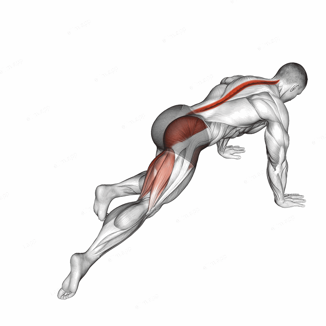 Kneeling Leg Half Circle exercise targeting Hips and Adductor Brevis
