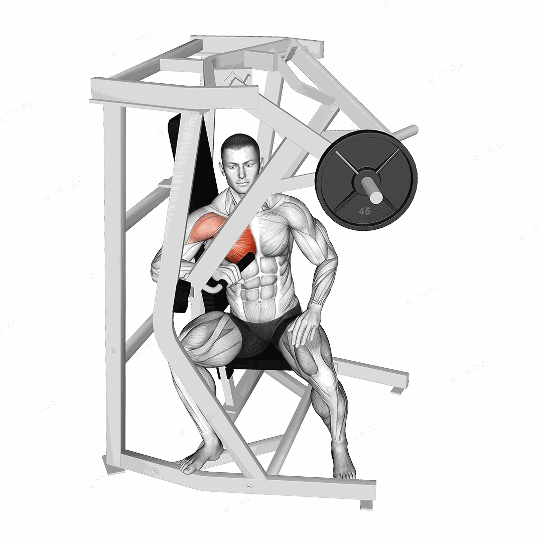 Lever One Arm Side Chest Press exercise targeting Chest