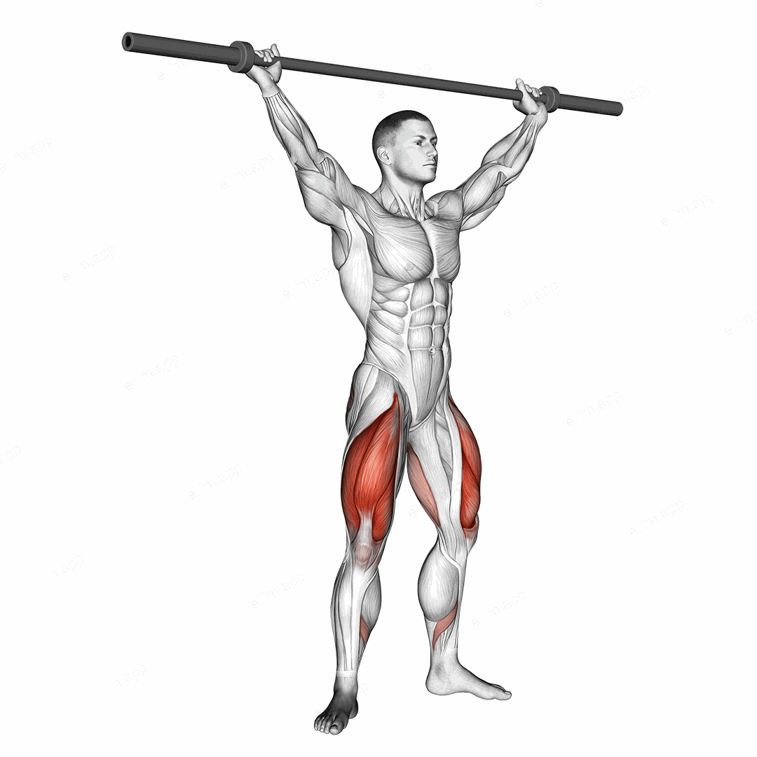 Barbell Overhead Squat exercise targeting Thighs and Quadriceps