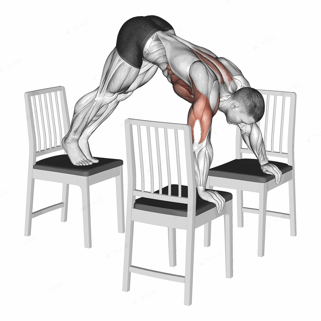 Pike Push up (between Chairs) exercise targeting Shoulders