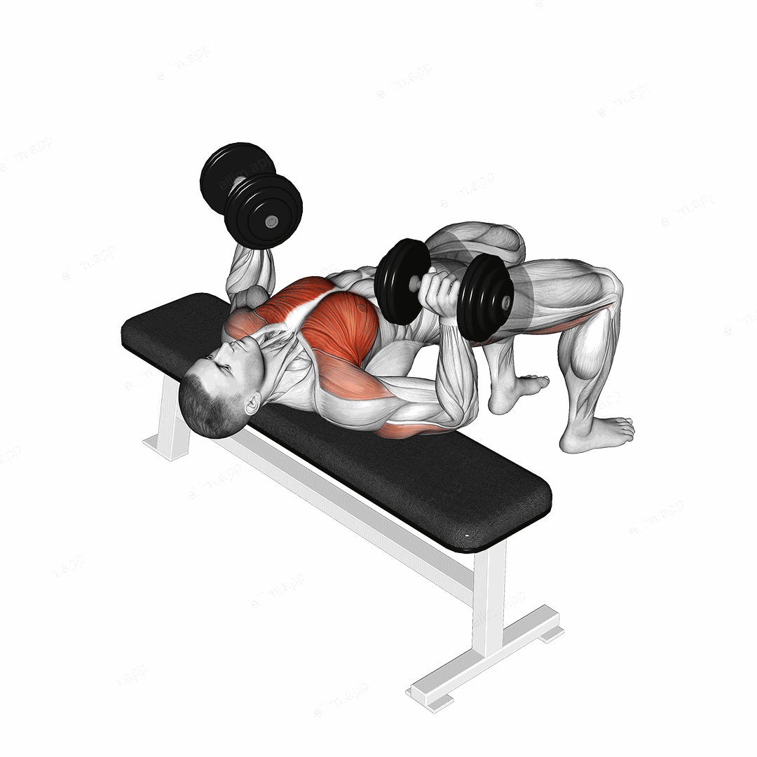 Dumbbell Bridge Bench Press exercise targeting Chest