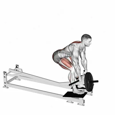 Lever T-bar Romanian Deadlift exercise targeting Hips