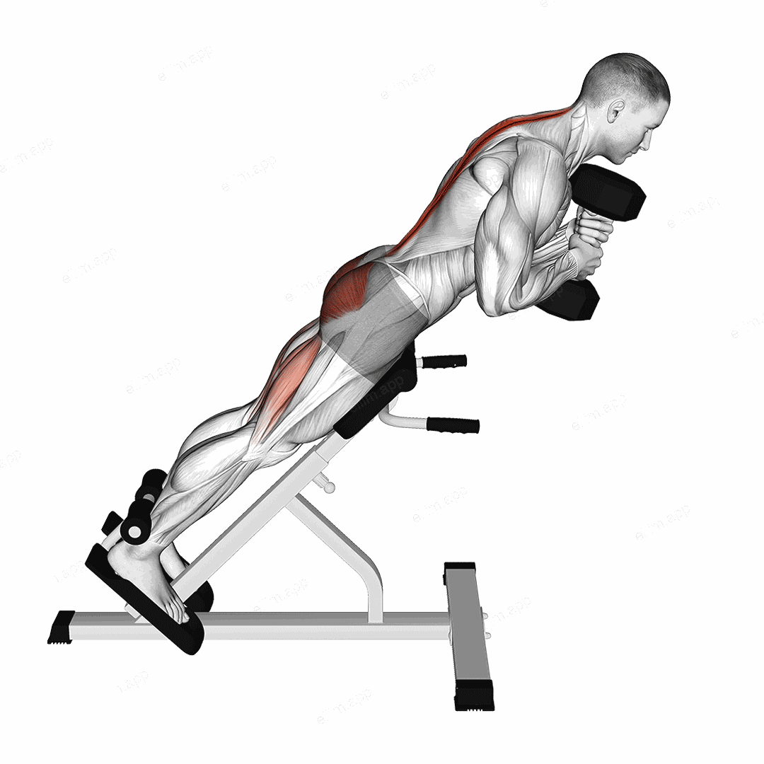 Dumbbell Hyperextension exercise targeting Hips
