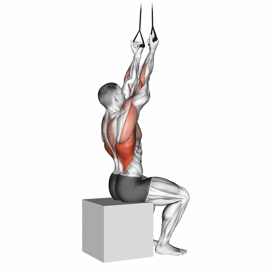 Band Fixed Back Underhand Pulldown exercise targeting Back and Latissimus Dorsi