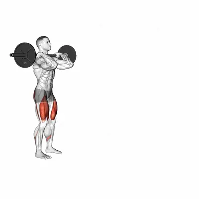 Barbell Front Rack Walking Lunge exercise targeting Thighs