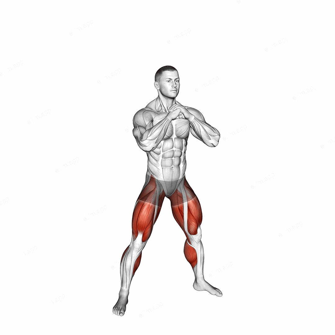Wide Stance Jump Squat to Narrow Stance Jump Squat exercise targeting Hips