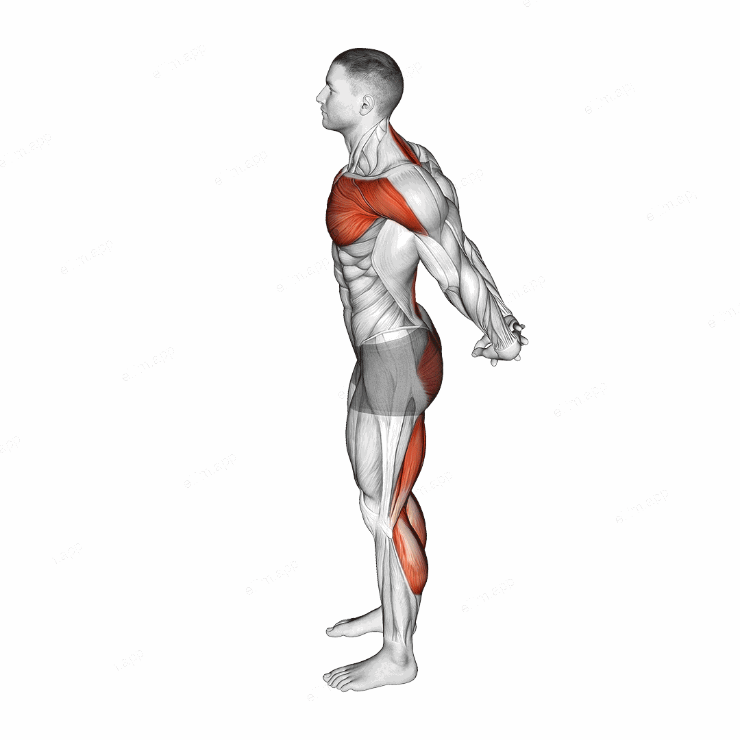 Standing Seal Yoga Pose exercise targeting Stretching