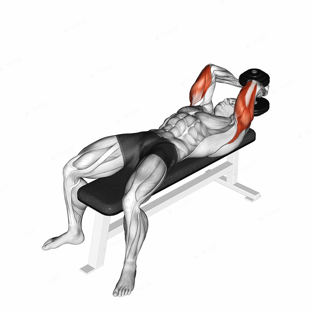 Dumbbell Lying Single Extension exercise targeting Upper Arms and Triceps Brachii
