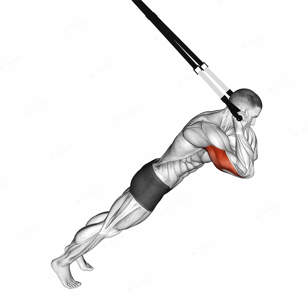 Suspension Triceps Extension exercise targeting Upper Arms