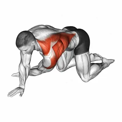 Kneeling T Spine Mobility Stretching exercise targeting