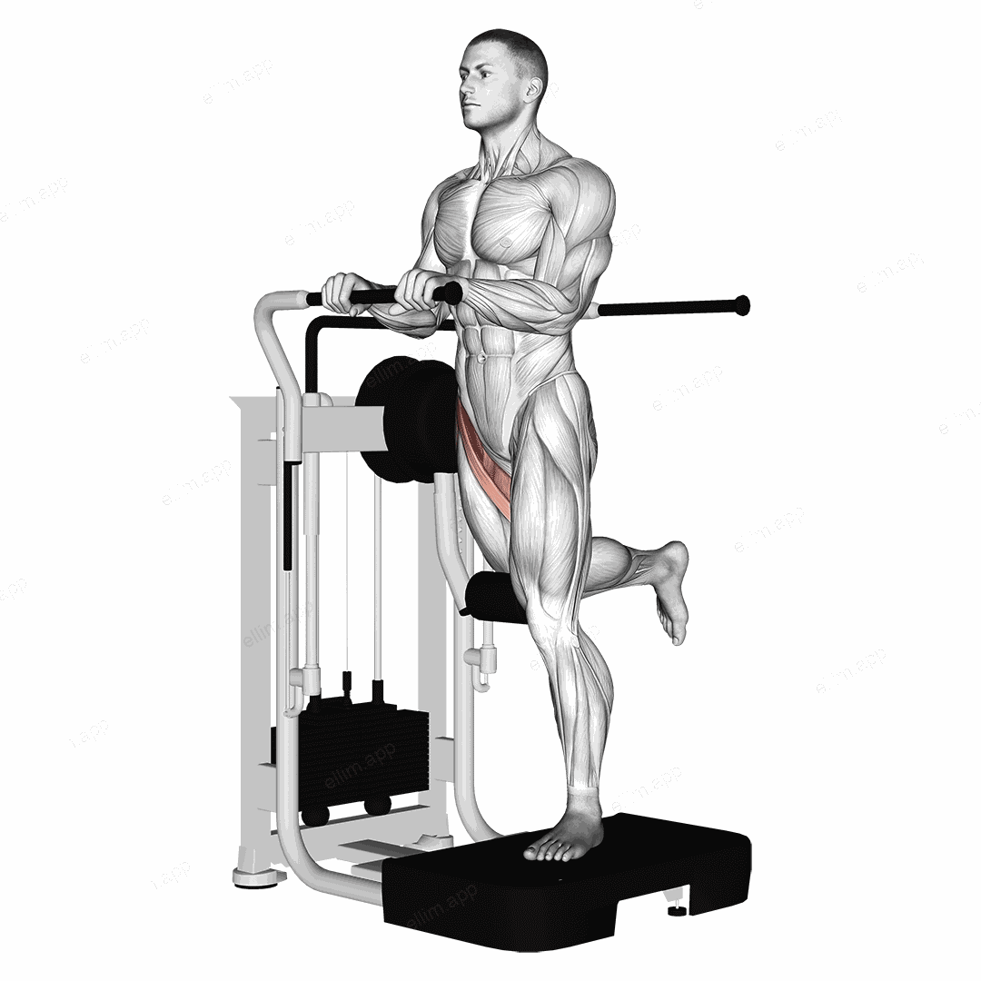 Lever Standing Leg Raise exercise targeting Hips and Gluteus Maximus