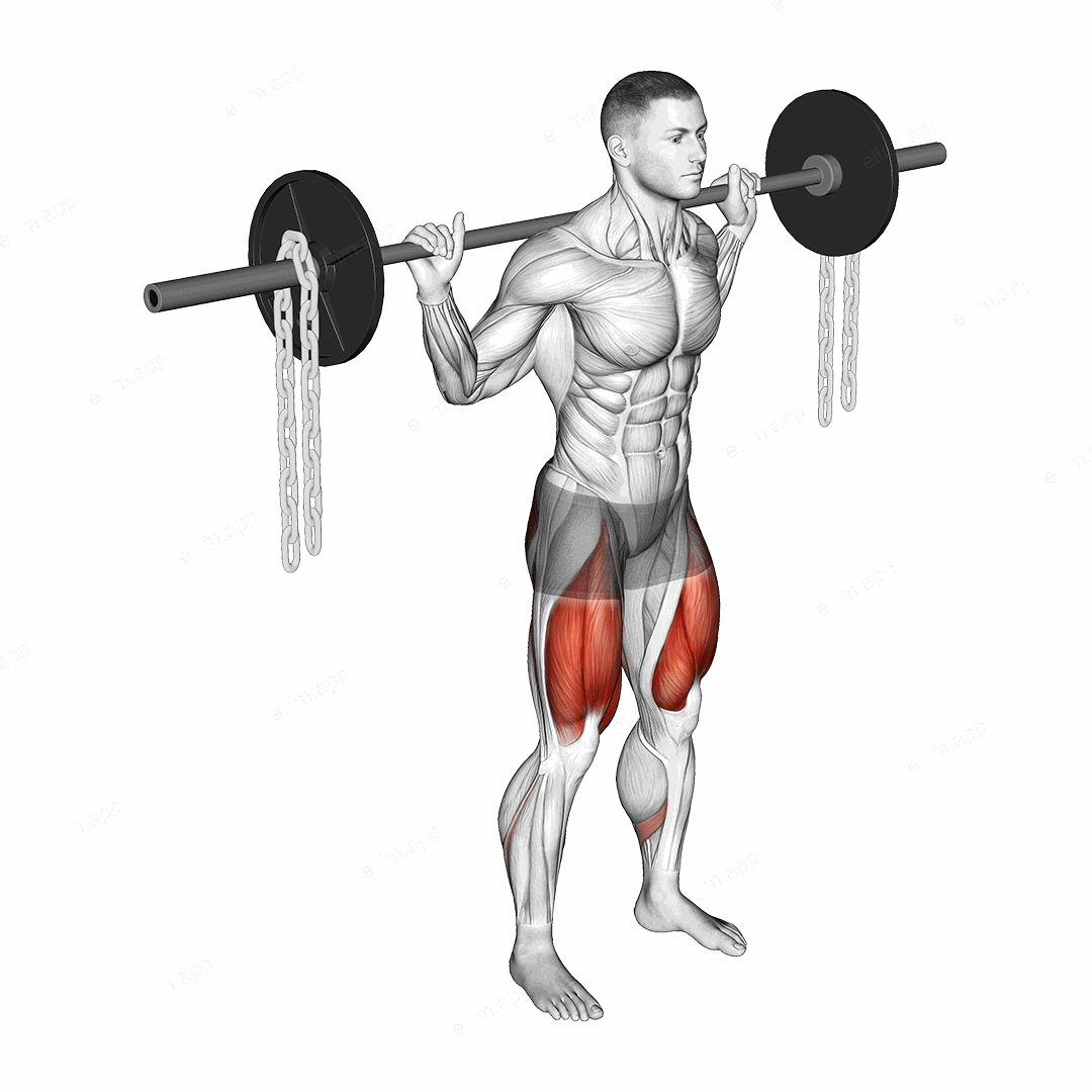 Barbell Squat with Chains exercise targeting Thighs