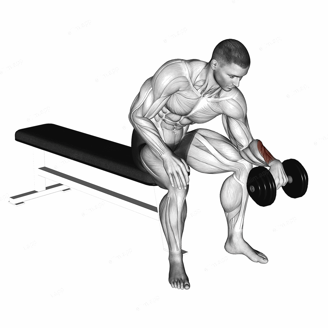 Dumbbell One arm Revers Wrist Curl exercise targeting Forearms and Wrist Extensors
