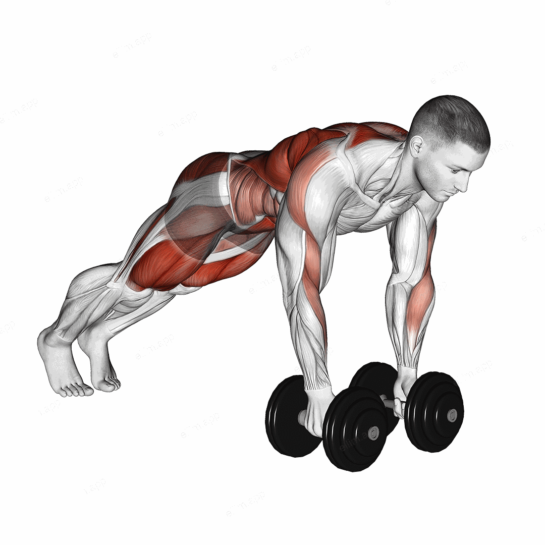 Dumbbell Renegade Row to Squat exercise targeting Back and Hips