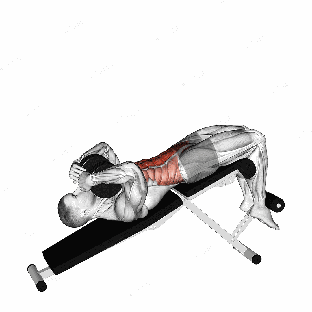 Dumbbell Decline Sit up exercise targeting Waist