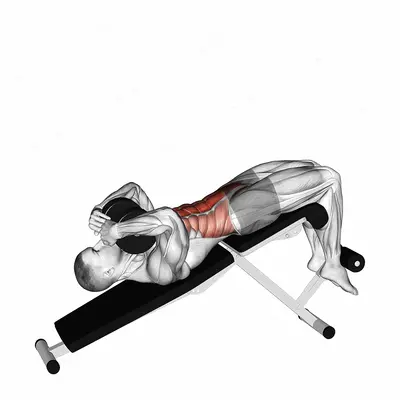 Dumbbell Decline Sit up exercise targeting Waist