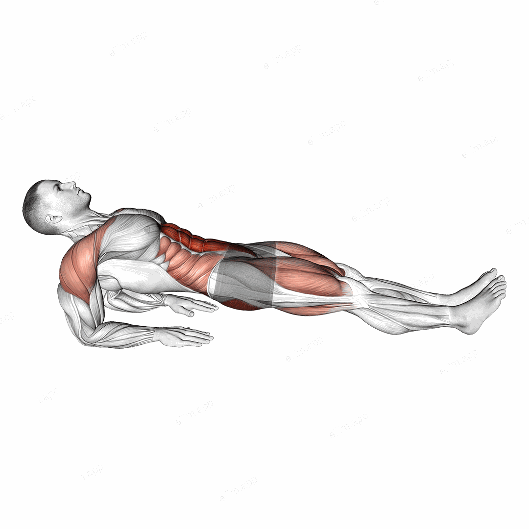 Reverse Plank on Elbows exercise targeting Waist