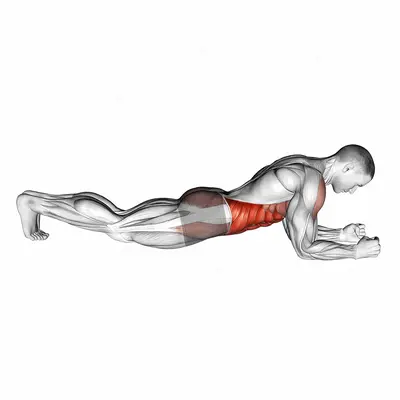 Front Plank exercise targeting Waist and Rectus Abdominis