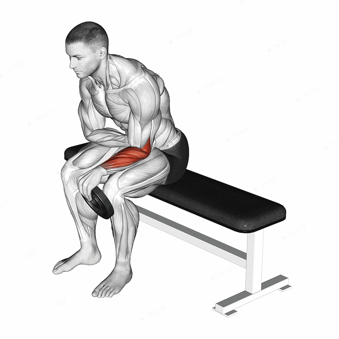 Weighted Seated One Arm Reverse Wrist Curl exercise targeting Forearms and Wrist Extensors