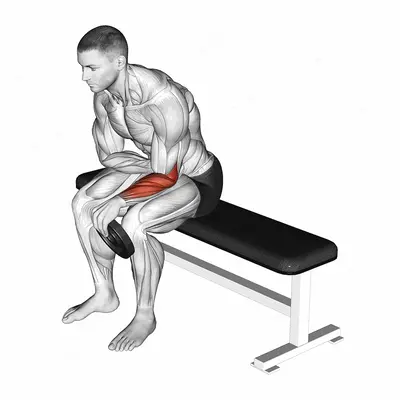 Weighted Seated One Arm Reverse Wrist Curl exercise targeting Forearms and Wrist Extensors