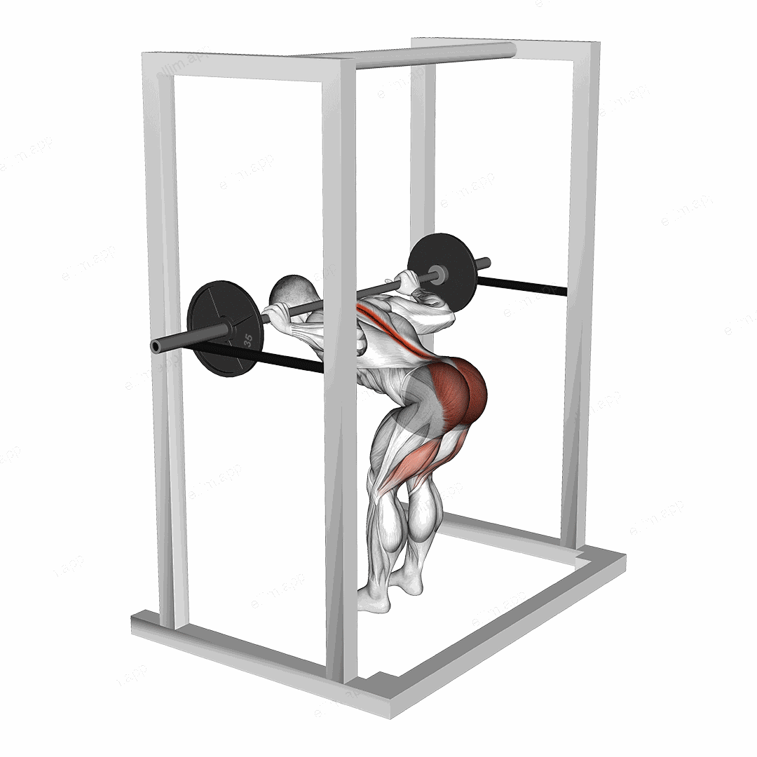 Barbell Pin Good Morning exercise targeting Thighs