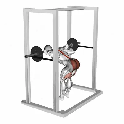 Barbell Pin Good Morning exercise targeting Thighs