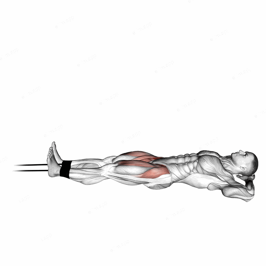 Band Lying Straight Leg Raise exercise targeting Hips and Iliopsoas