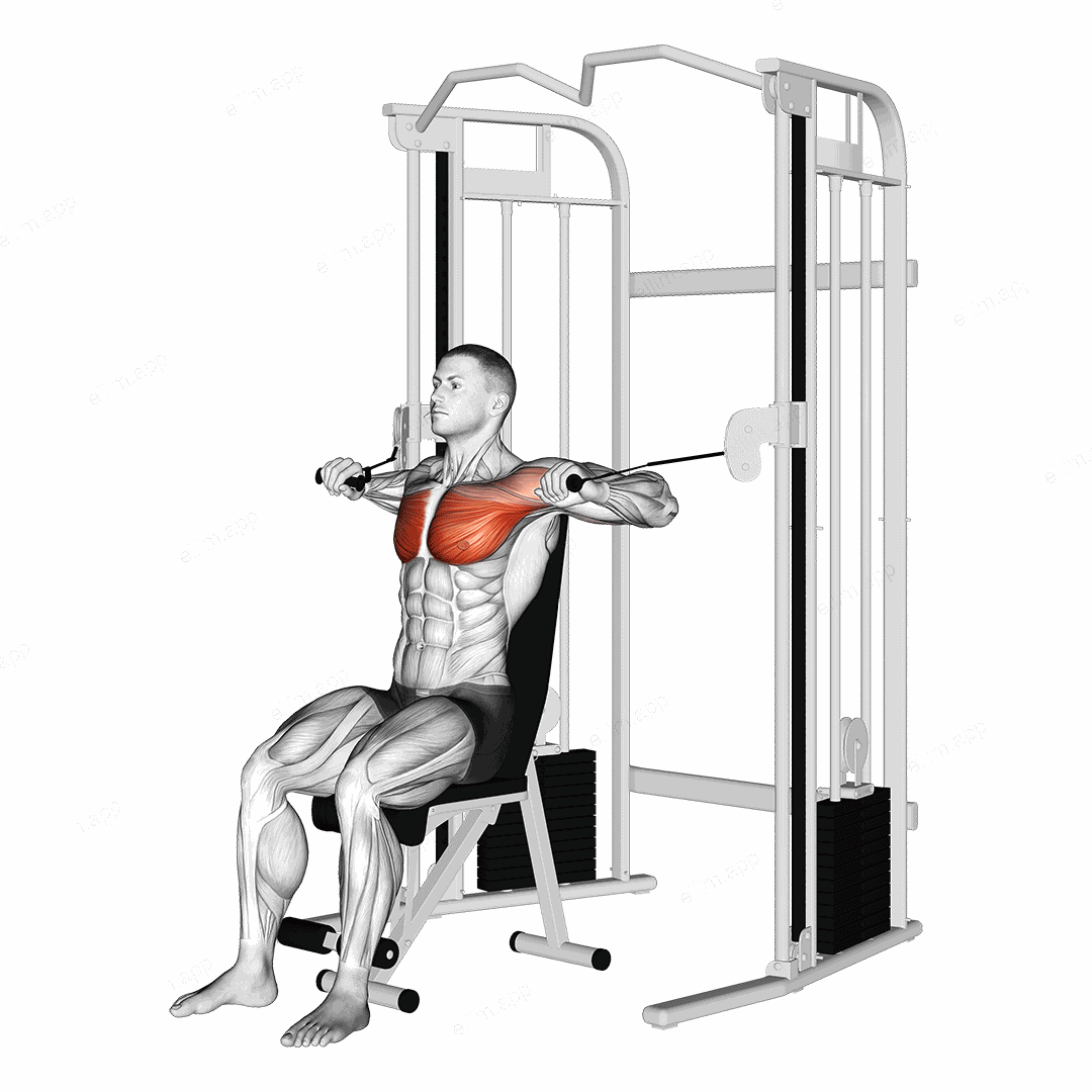 Cable Seated Chest Press exercise targeting Chest