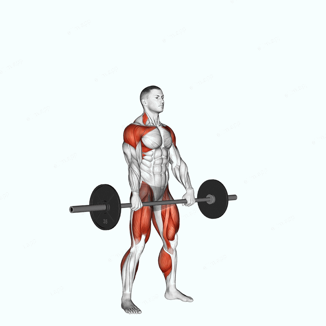 Barbell Hang Snatch exercise targeting Weightlifting and Adductor Magnus