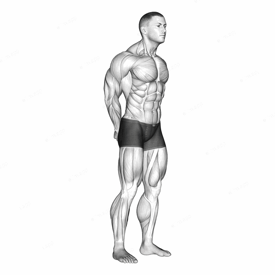 Neck Protraction Stretch exercise targeting Neck