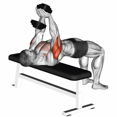 Dumbbell Close grip Press exercise targeting Upper Arms